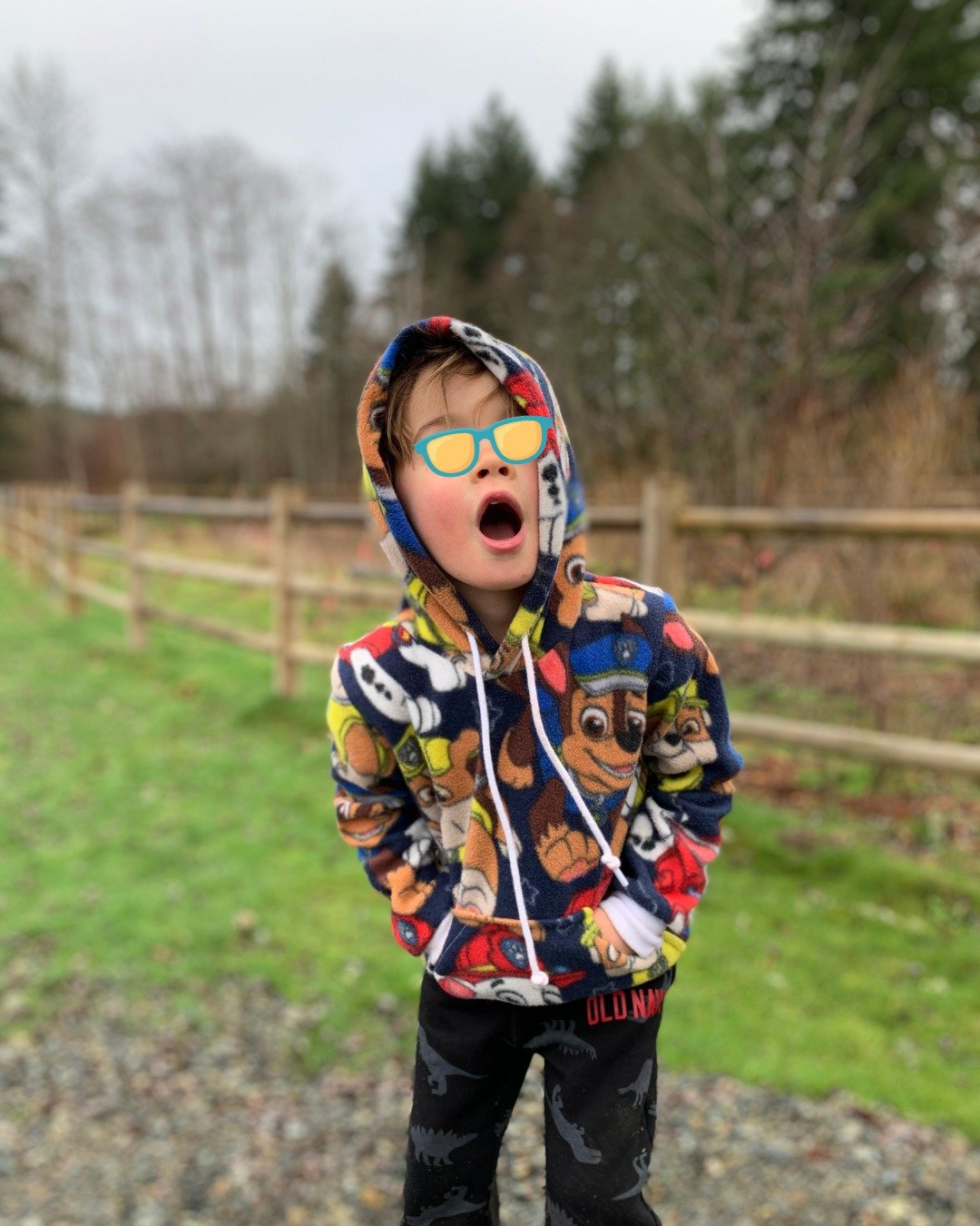 Patron couture PDF - sweat à capuche - TITUS - enfant (A4, A0, US Letter, VP) – Image 15